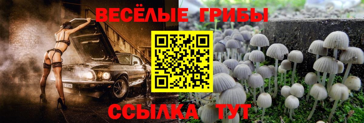 Тобольск  Галлюциногенные грибы ЛСД  Вход с VPN 